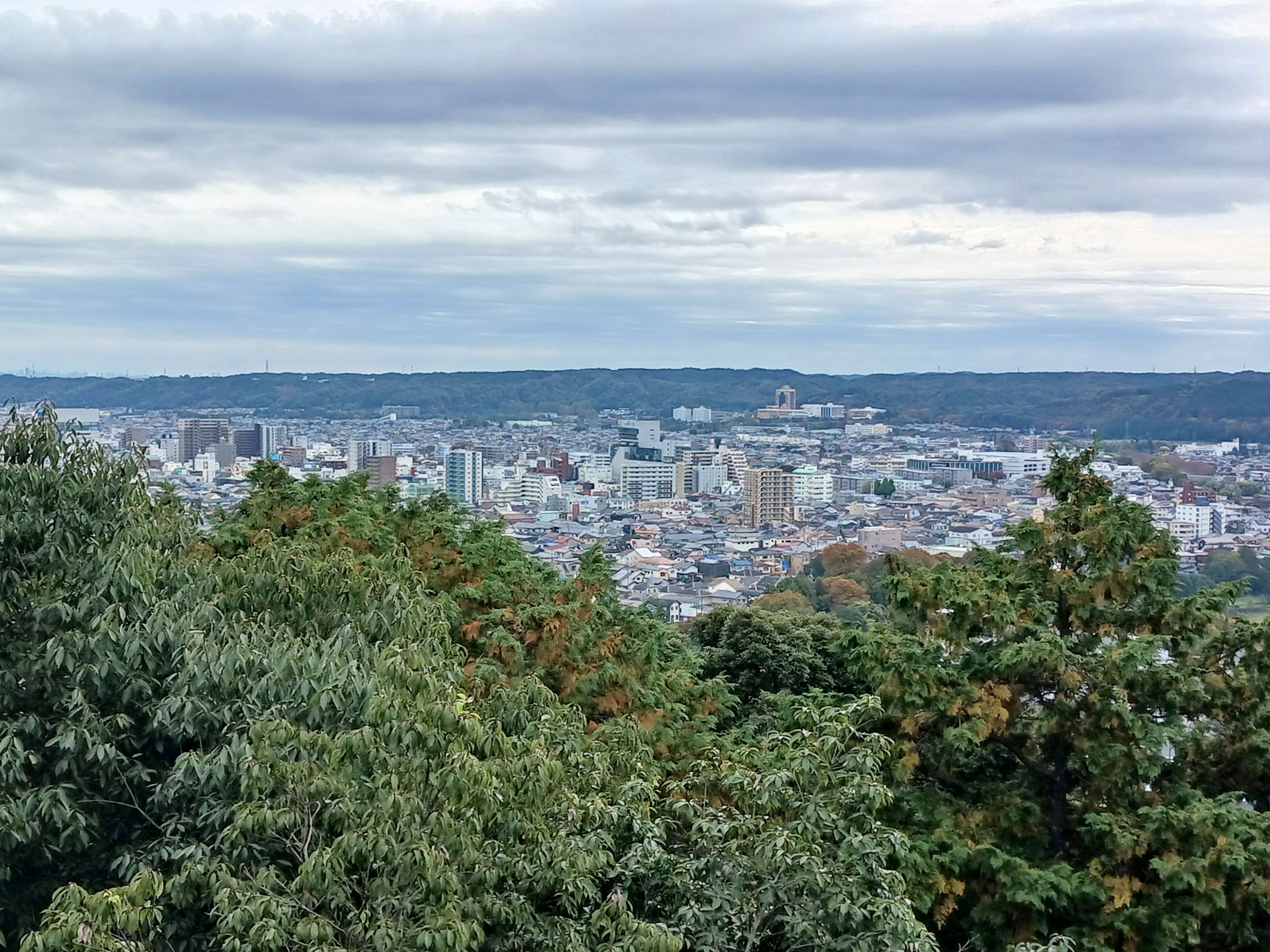 山頂からの景色